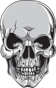 skull-vector-element_GyTSuj8__L